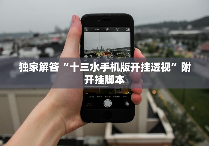 独家解答“十三水手机版开挂透视”附开挂脚本