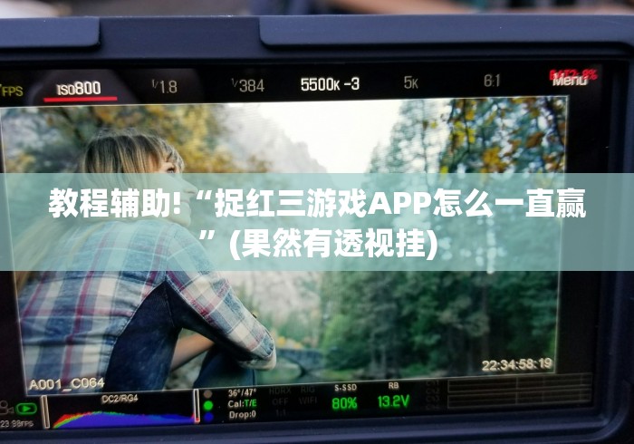 教程辅助!“捉红三游戏APP怎么一直赢”(果然有透视挂)
