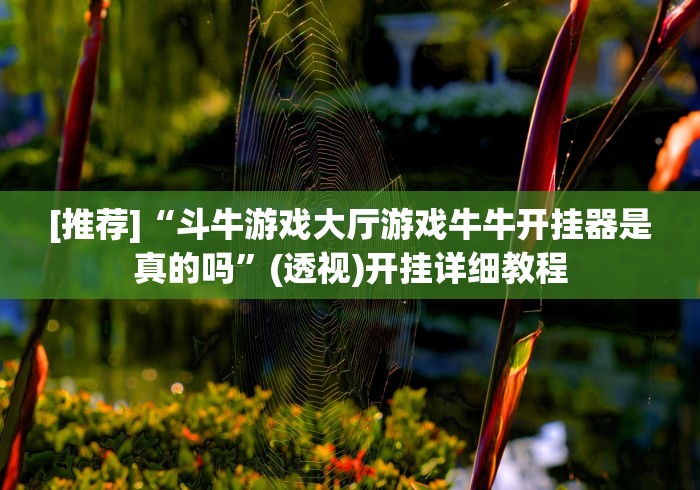 [推荐]“斗牛游戏大厅游戏牛牛开挂器是真的吗”(透视)开挂详细教程