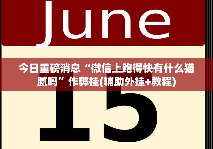 今日重磅消息“微信上跑得快有什么猫腻吗”作弊挂(辅助外挂+教程) 今日重磅消息“微信上跑得快有什么猫腻吗”作弊挂(辅助外挂+教程)