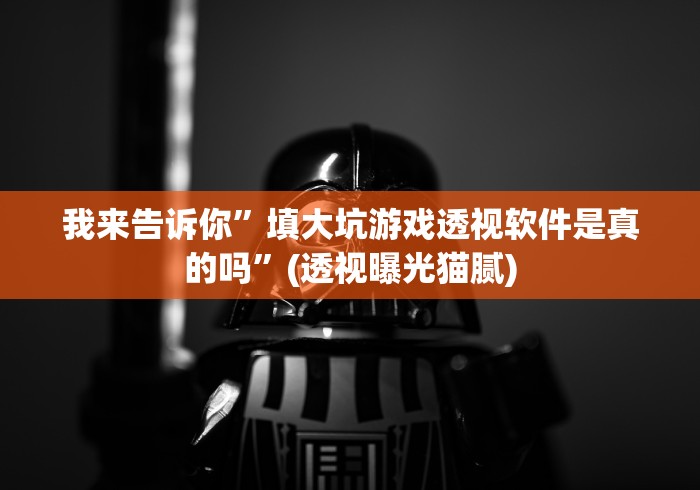 我来告诉你”填大坑游戏透视软件是真的吗”(透视曝光猫腻)