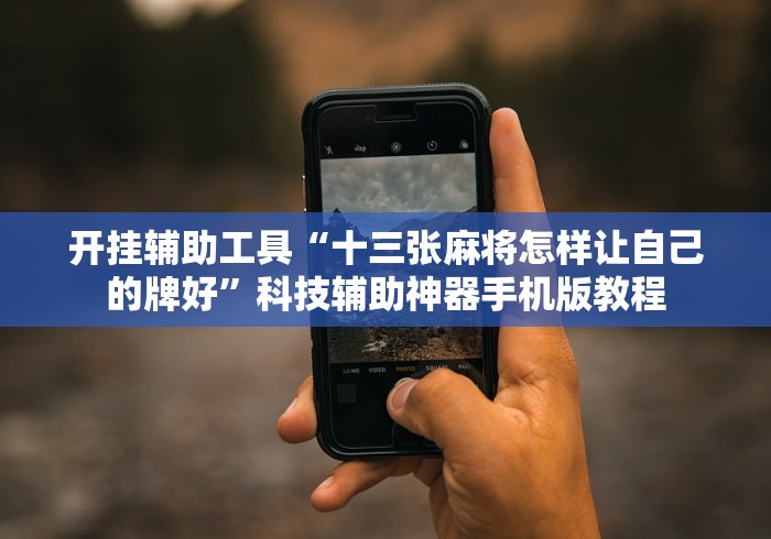 开挂辅助工具“十三张麻将怎样让自己的牌好”科技辅助神器手机版教程