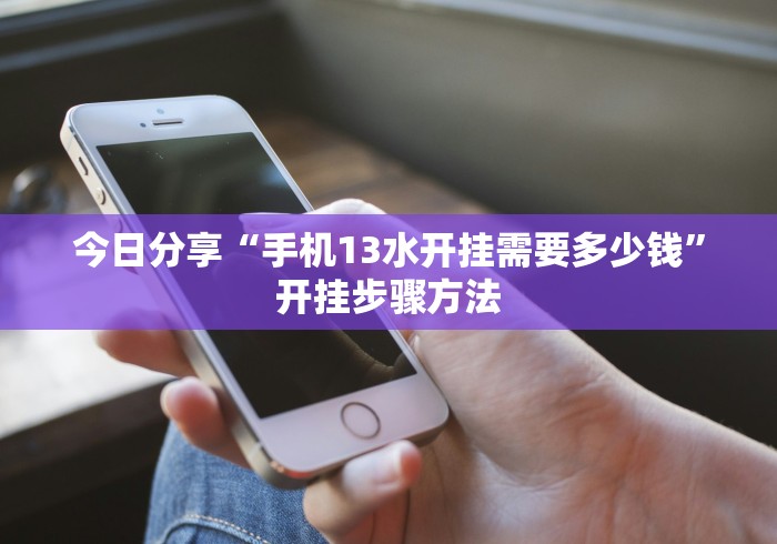 今日分享“手机13水开挂需要多少钱”开挂步骤方法