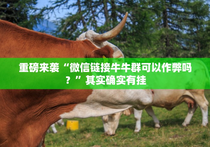 重磅来袭“微信链接牛牛群可以作弊吗？”其实确实有挂