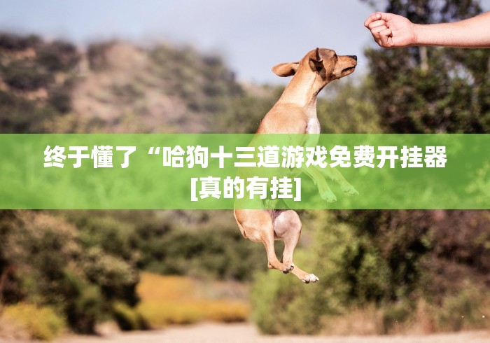 终于懂了“哈狗十三道游戏免费开挂器[真的有挂]