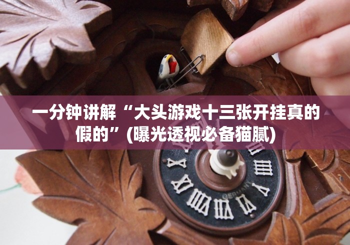 一分钟讲解“大头游戏十三张开挂真的假的”(曝光透视必备猫腻)