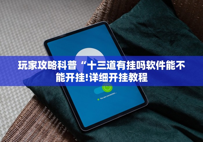 玩家攻略科普“十三道有挂吗软件能不能开挂!详细开挂教程