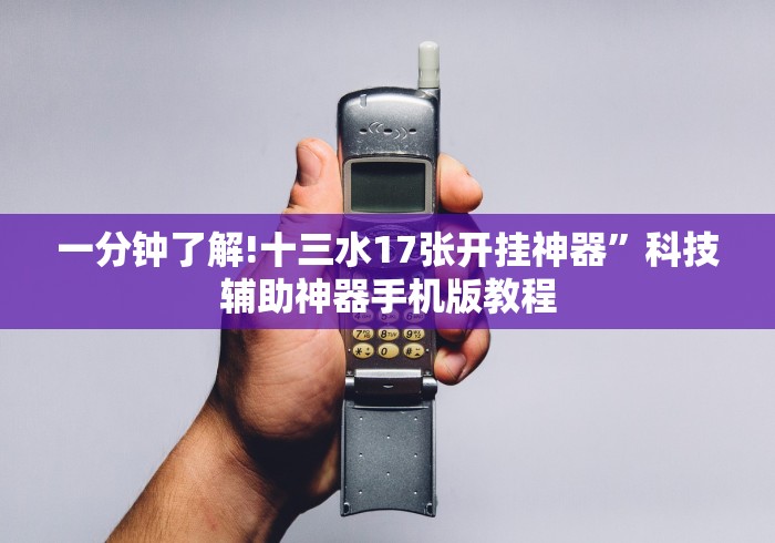 一分钟了解!十三水17张开挂神器”科技辅助神器手机版教程