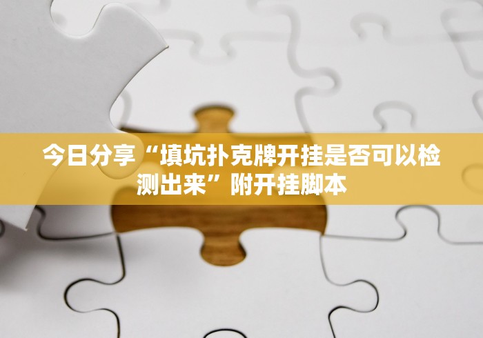 今日分享“填坑扑克牌开挂是否可以检测出来”附开挂脚本
