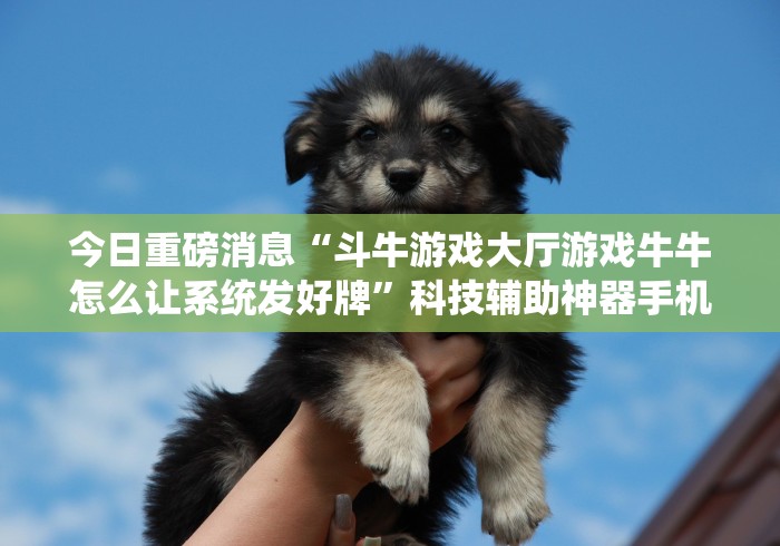 今日重磅消息“斗牛游戏大厅游戏牛牛怎么让系统发好牌”科技辅助神器手机版教程