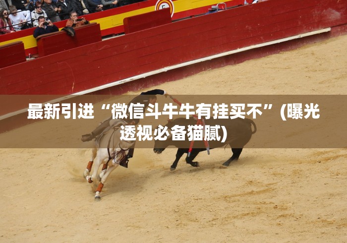 最新引进“微信斗牛牛有挂买不”(曝光透视必备猫腻)