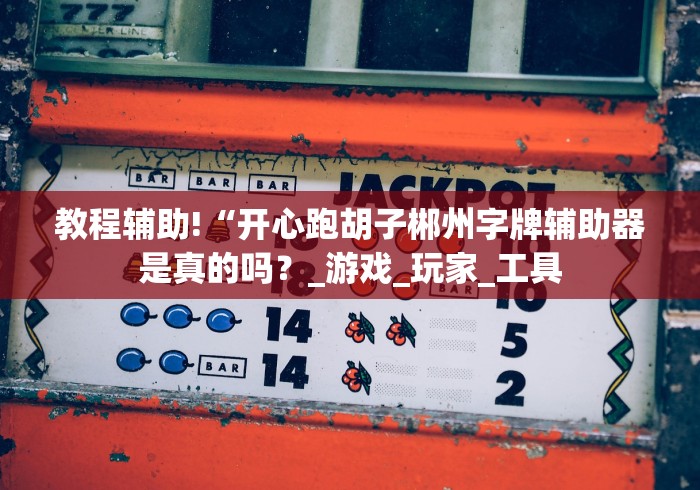 教程辅助!“开心跑胡子郴州字牌辅助器是真的吗？_游戏_玩家_工具