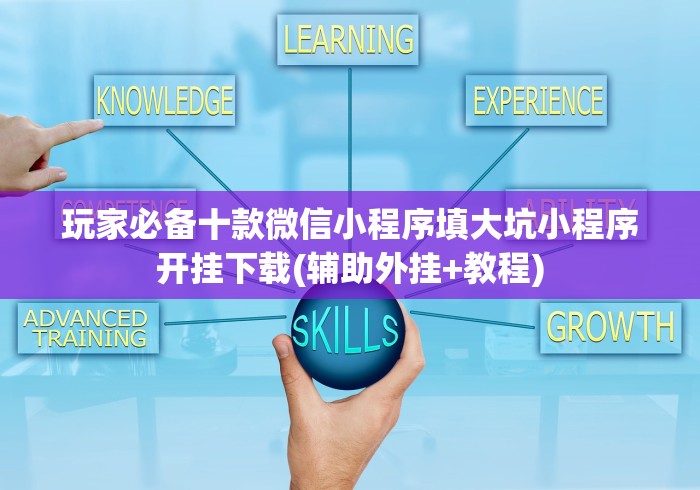 玩家必备十款微信小程序填大坑小程序开挂下载(辅助外挂+教程)