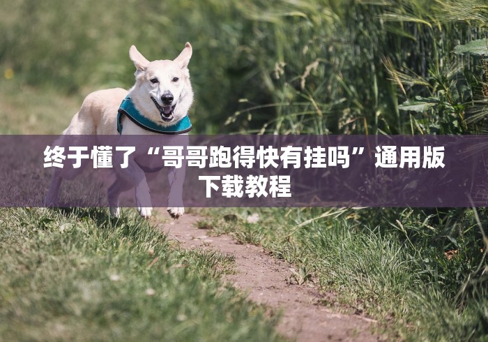 终于懂了“哥哥跑得快有挂吗”通用版下载教程