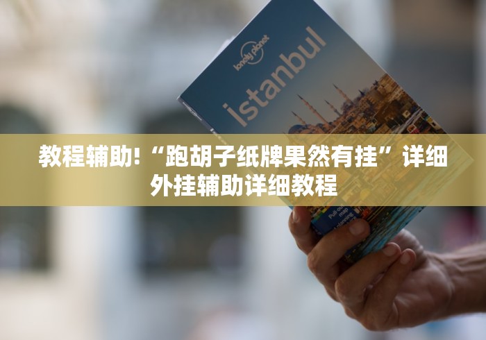教程辅助!“跑胡子纸牌果然有挂”详细外挂辅助详细教程