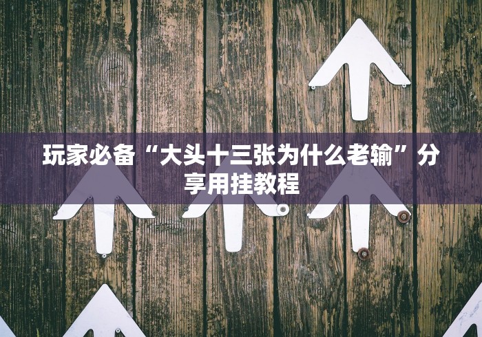 玩家必备“大头十三张为什么老输”分享用挂教程