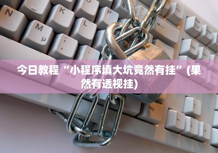 今日教程“小程序填大坑竟然有挂”(果然有透视挂)