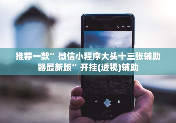 推荐一款”微信小程序大头十三张辅助器最新版”开挂(透视)辅助