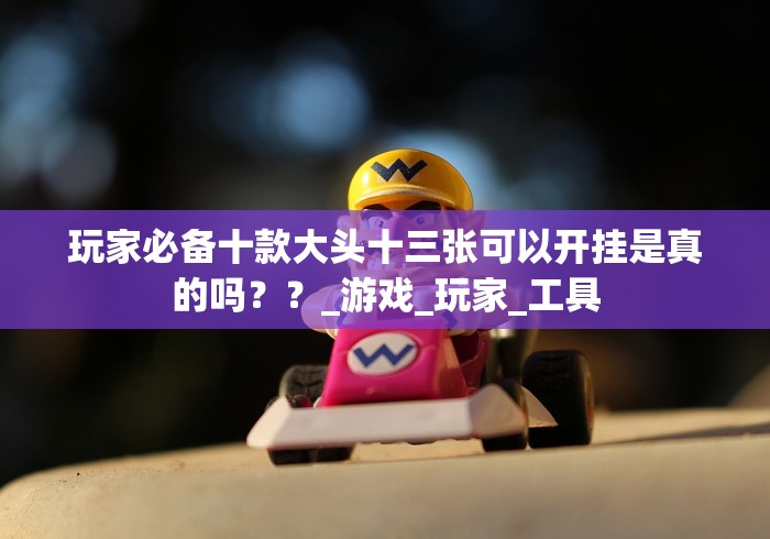 玩家必备十款大头十三张可以开挂是真的吗？？_游戏_玩家_工具