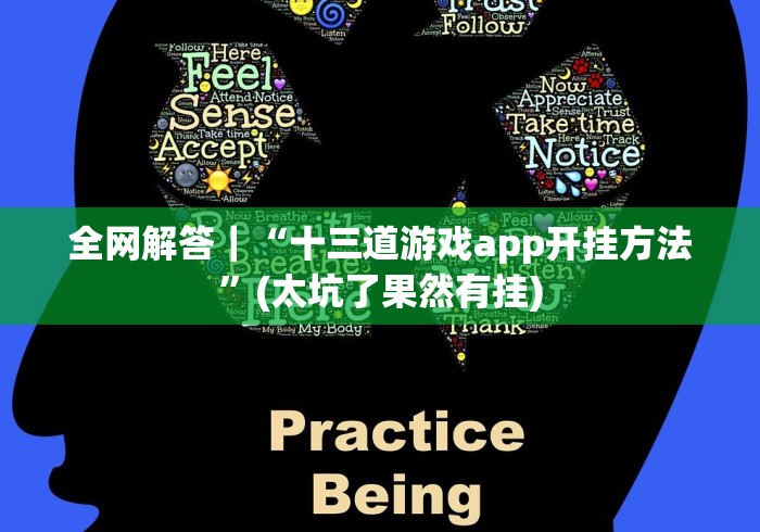 全网解答｜“十三道游戏app开挂方法”(太坑了果然有挂)