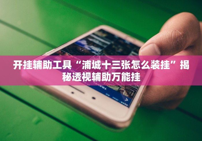 开挂辅助工具“浦城十三张怎么装挂”揭秘透视辅助万能挂