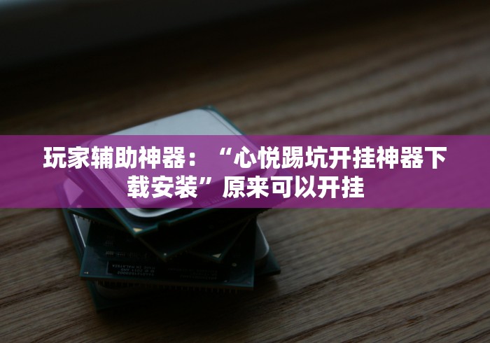 玩家辅助神器：“心悦踢坑开挂神器下载安装”原来可以开挂