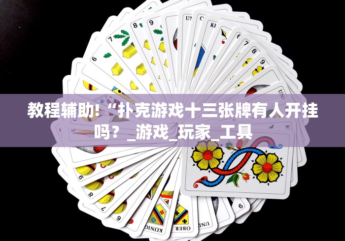 教程辅助!“扑克游戏十三张牌有人开挂吗?_游戏_玩家_工具 教程辅助!“扑克游戏十三张牌有人开挂吗?_游戏_玩家_工具