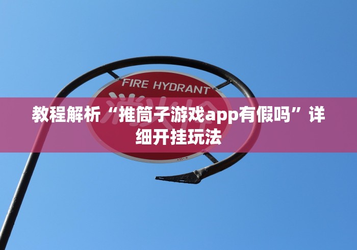 教程解析“推筒子游戏app有假吗”详细开挂玩法 教程解析“推筒子游戏app有假吗”详细开挂玩法