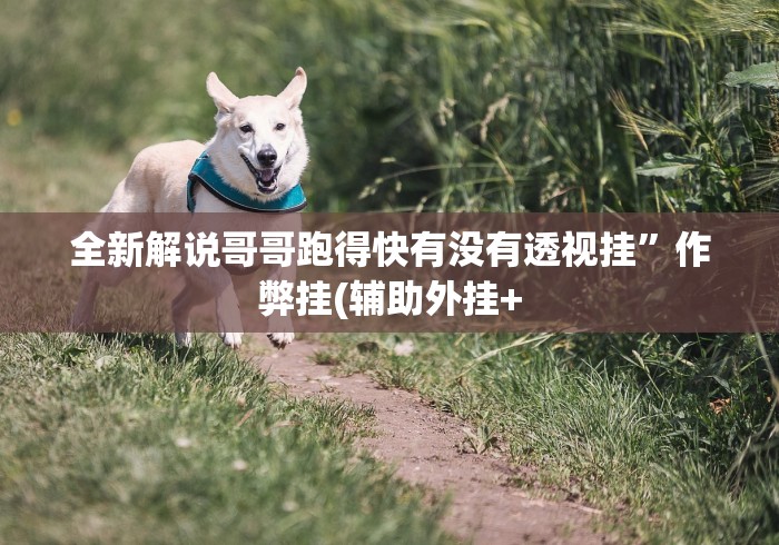 全新解说哥哥跑得快有没有透视挂”作弊挂(辅助外挂+