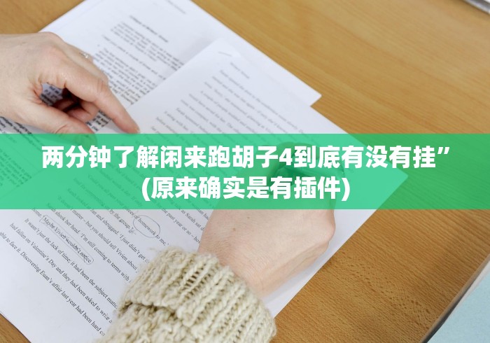 两分钟了解闲来跑胡子4到底有没有挂”(原来确实是有插件)
