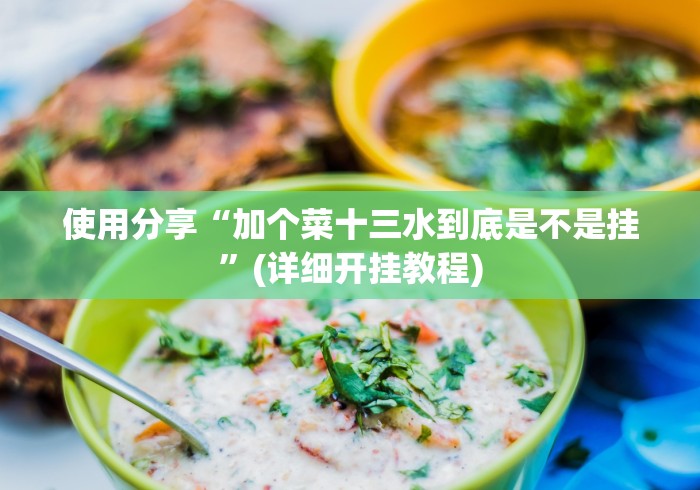 使用分享“加个菜十三水到底是不是挂”(详细开挂教程) 使用分享“加个菜十三水到底是不是挂”(详细开挂教程)