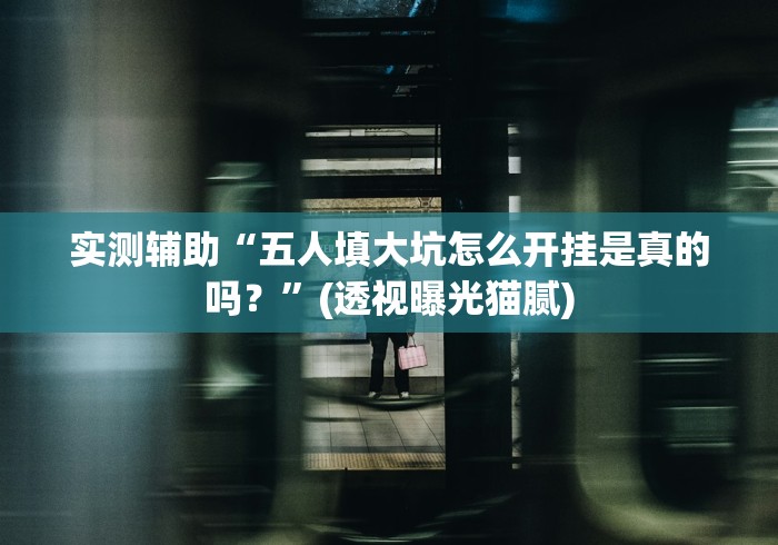 实测辅助“五人填大坑怎么开挂是真的吗？”(透视曝光猫腻)