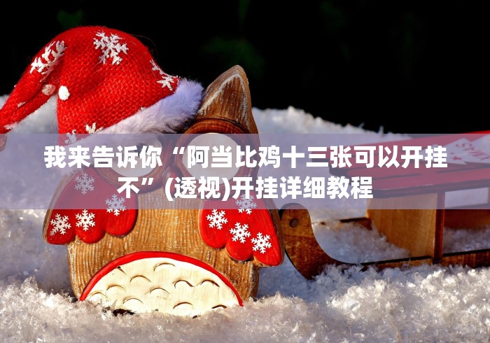 我来告诉你“阿当比鸡十三张可以开挂不”(透视)开挂详细教程