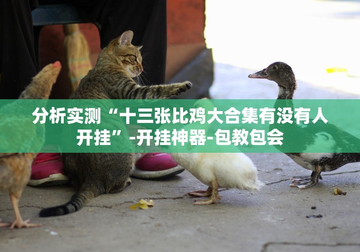分析实测“十三张比鸡大合集有没有人开挂”-开挂神器-包教包会