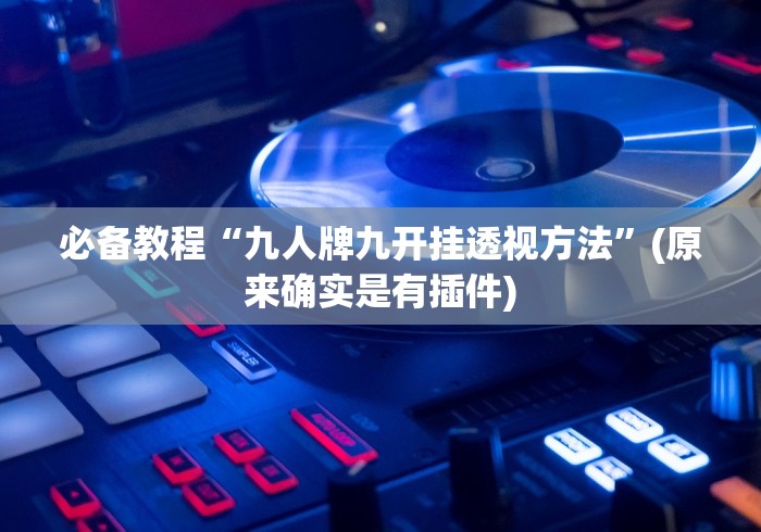 必备教程“九人牌九开挂透视方法”(原来确实是有插件)