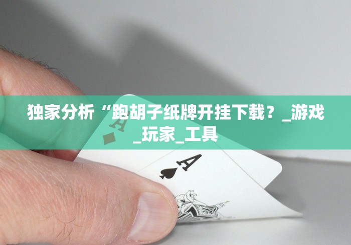 独家分析“跑胡子纸牌开挂下载？_游戏_玩家_工具
