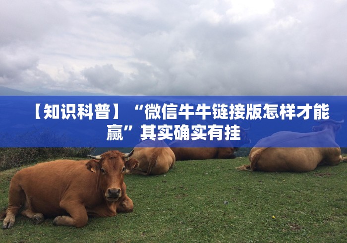 【知识科普】“微信牛牛链接版怎样才能赢”其实确实有挂 【知识科普】“微信牛牛链接版怎样才能赢”其实确实有挂