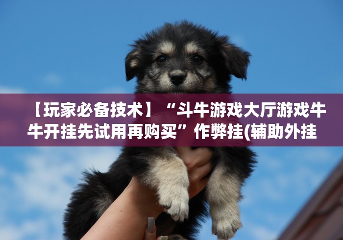 【玩家必备技术】“斗牛游戏大厅游戏牛牛开挂先试用再购买”作弊挂(辅助外挂+教程)