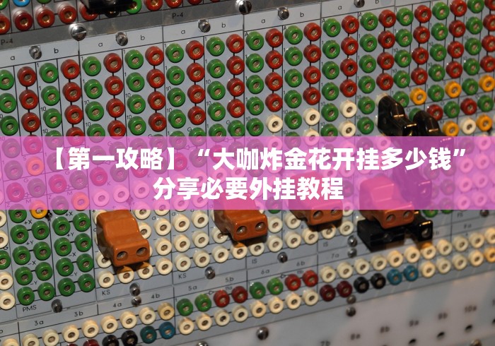 【第一攻略】“大咖炸金花开挂多少钱”分享必要外挂教程