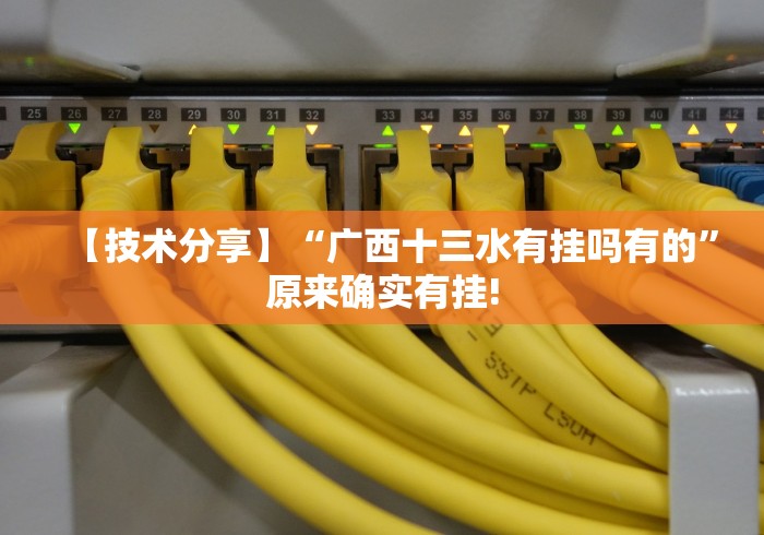 【技术分享】“广西十三水有挂吗有的”原来确实有挂!