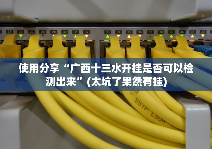 使用分享“广西十三水开挂是否可以检测出来”(太坑了果然有挂)