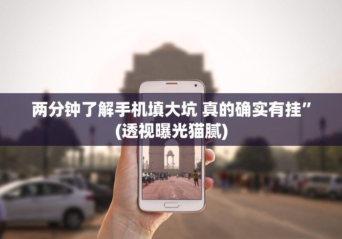 两分钟了解手机填大坑 真的确实有挂”(透视曝光猫腻) 两分钟了解手机填大坑 真的确实有挂”(透视曝光猫腻)