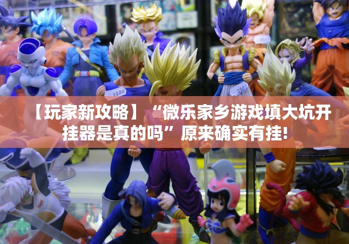 【玩家新攻略】“微乐家乡游戏填大坑开挂器是真的吗”原来确实有挂! 【玩家新攻略】“微乐家乡游戏填大坑开挂器是真的吗”原来确实有挂!