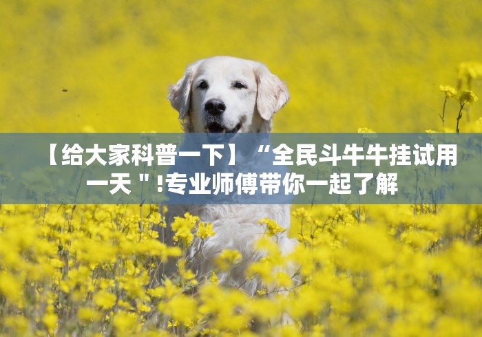 【给大家科普一下】“全民斗牛牛挂试用一天＂!专业师傅带你一起了解