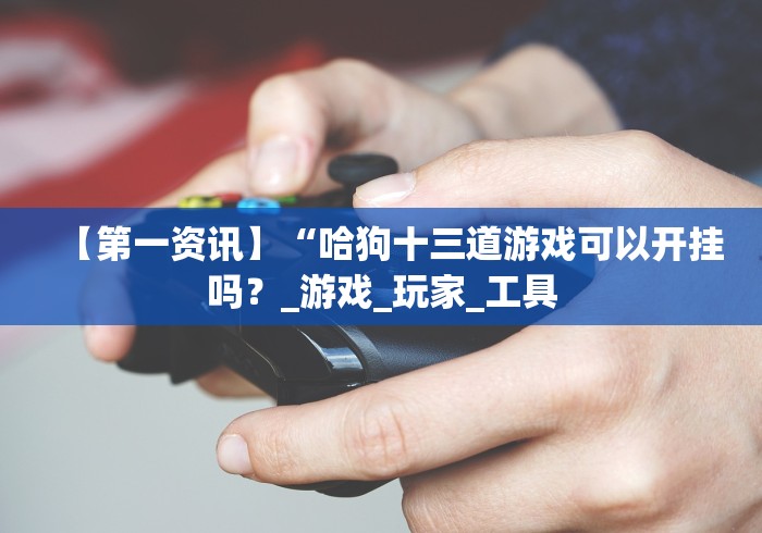 【第一资讯】“哈狗十三道游戏可以开挂吗？_游戏_玩家_工具