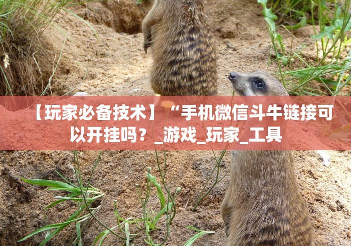 【玩家必备技术】“手机微信斗牛链接可以开挂吗?_游戏_玩家_工具 【玩家必备技术】“手机微信斗牛链接可以开挂吗?_游戏_玩家_工具