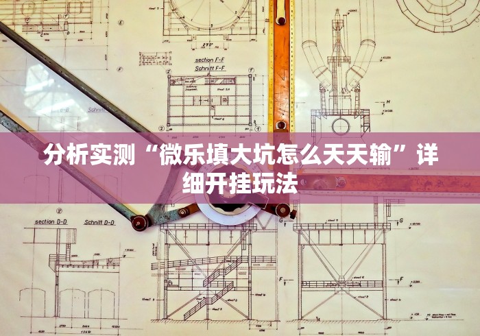 分析实测“微乐填大坑怎么天天输”详细开挂玩法 分析实测“微乐填大坑怎么天天输”详细开挂玩法