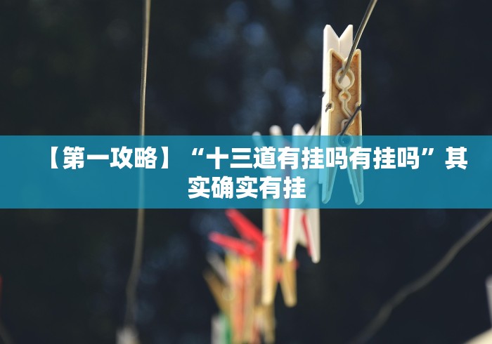 【第一攻略】“十三道有挂吗有挂吗”其实确实有挂 【第一攻略】“十三道有挂吗有挂吗”其实确实有挂