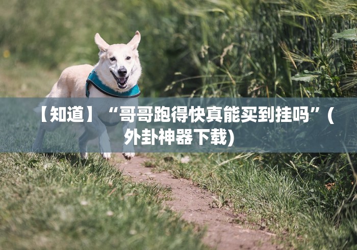 【知道】“哥哥跑得快真能买到挂吗”(外卦神器下载) 【知道】“哥哥跑得快真能买到挂吗”(外卦神器下载)