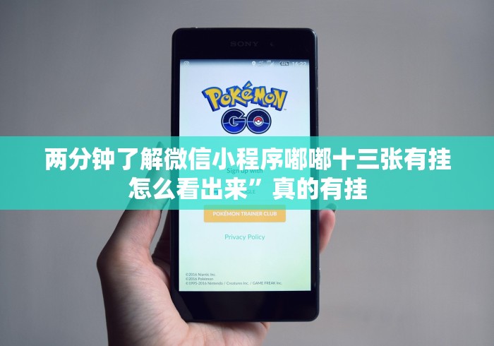 两分钟了解微信小程序嘟嘟十三张有挂怎么看出来”真的有挂